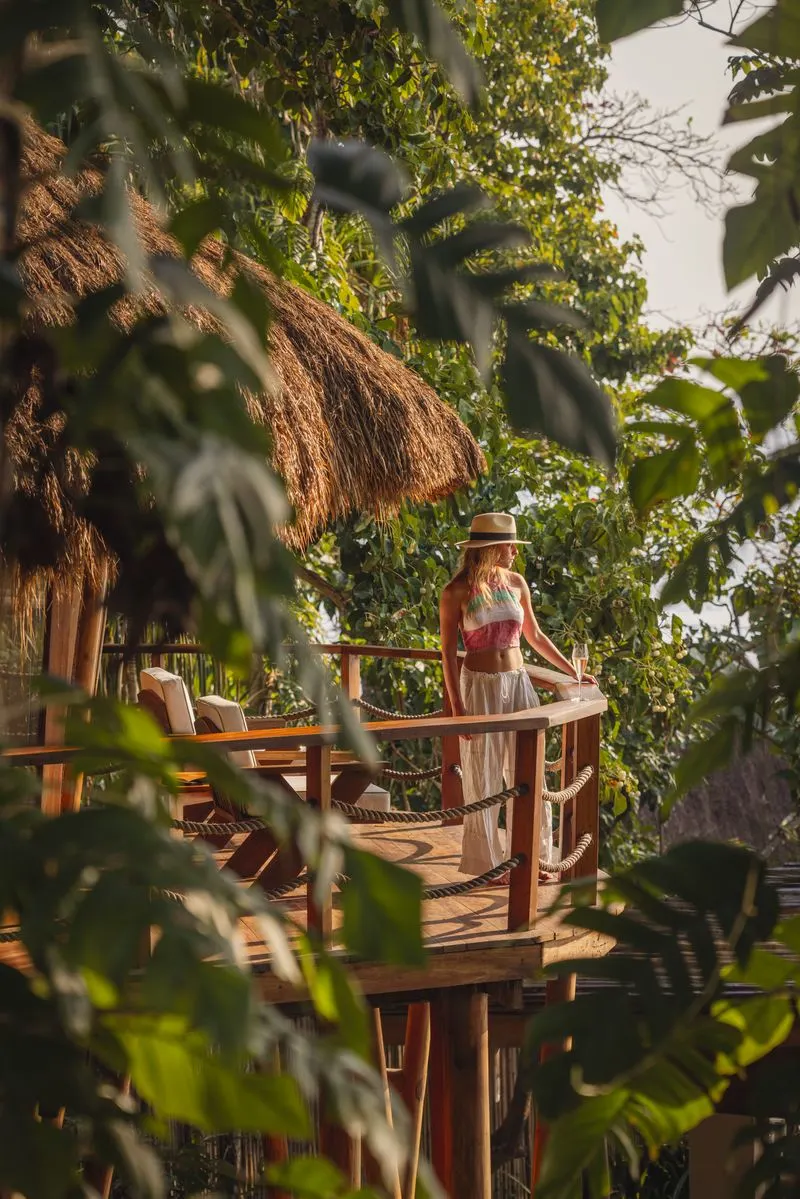 Treehouse deck tucked into the jungle canopy