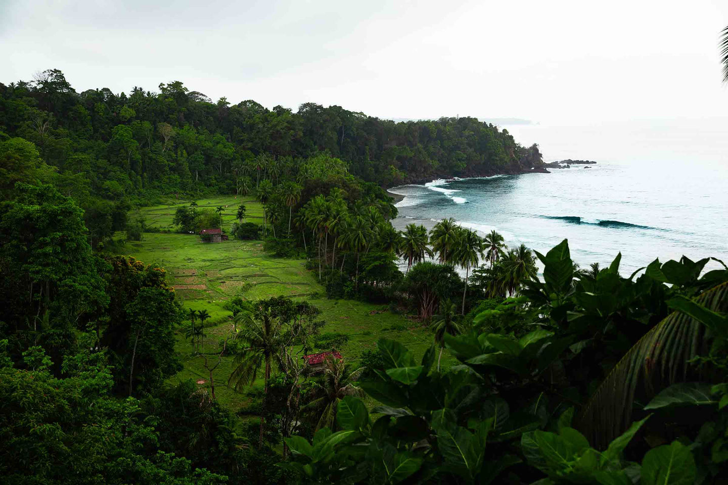 Jungle and reef coastline at Tanjung Setia seen from above